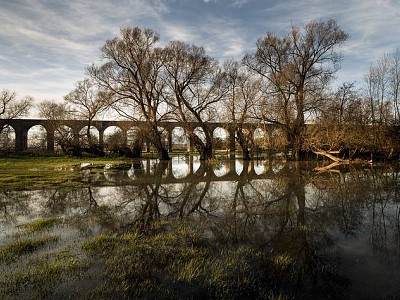 Leicestershire