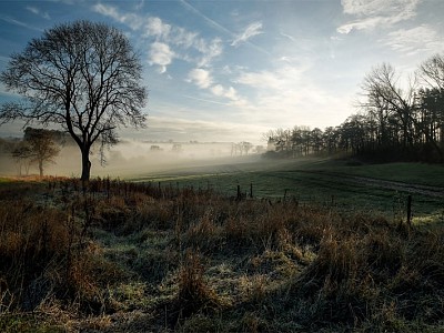 The Countryside