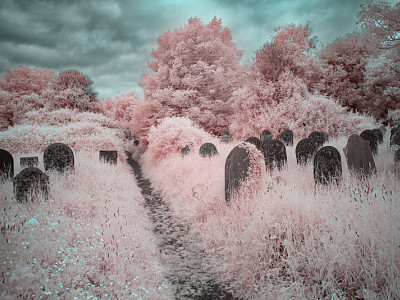 Infrared